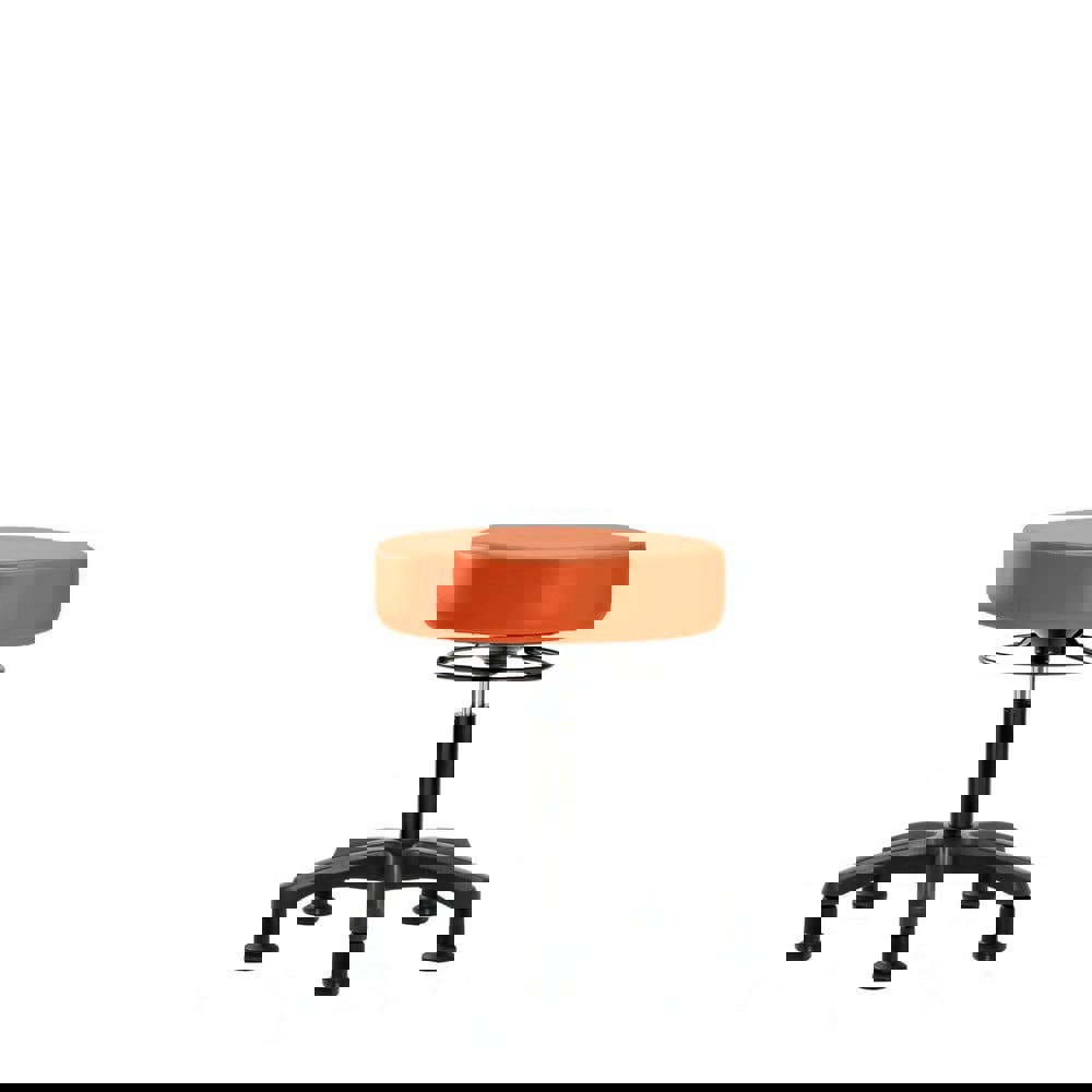 Lab Stool: Vinyl, 24