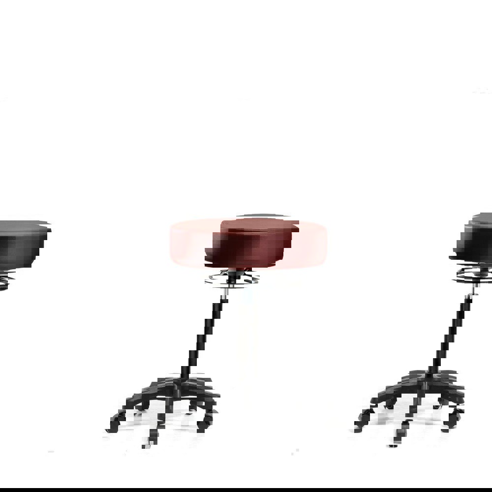 Lab Stool: Vinyl, 25