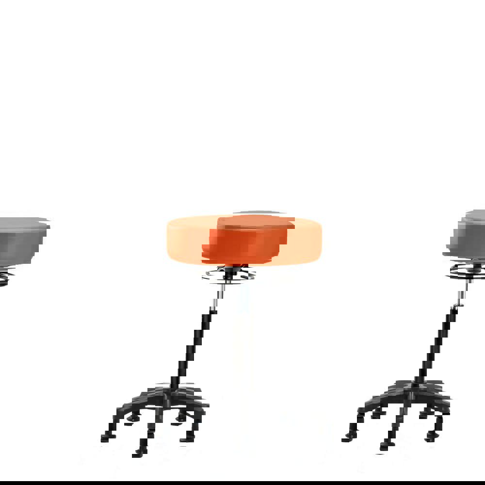 Lab Stool: Vinyl, 25