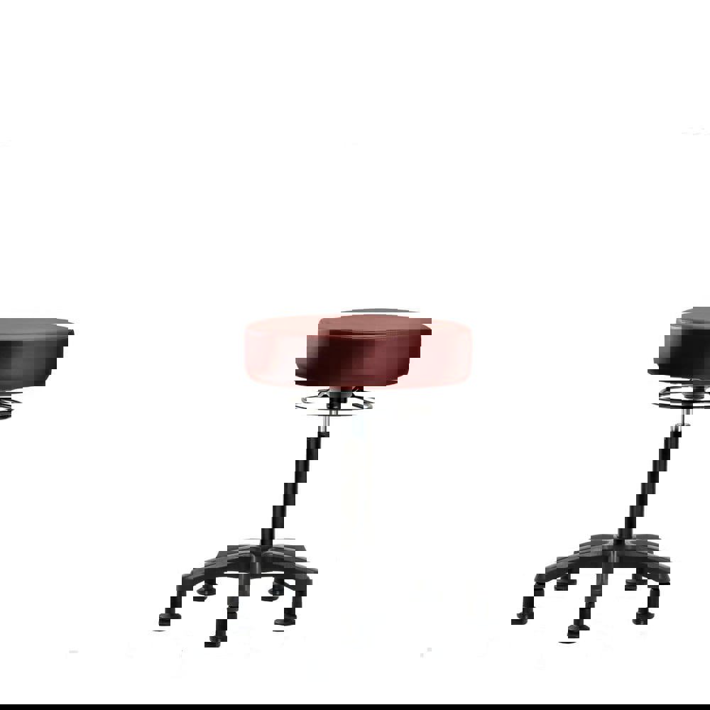 Lab Stool: Vinyl, 25