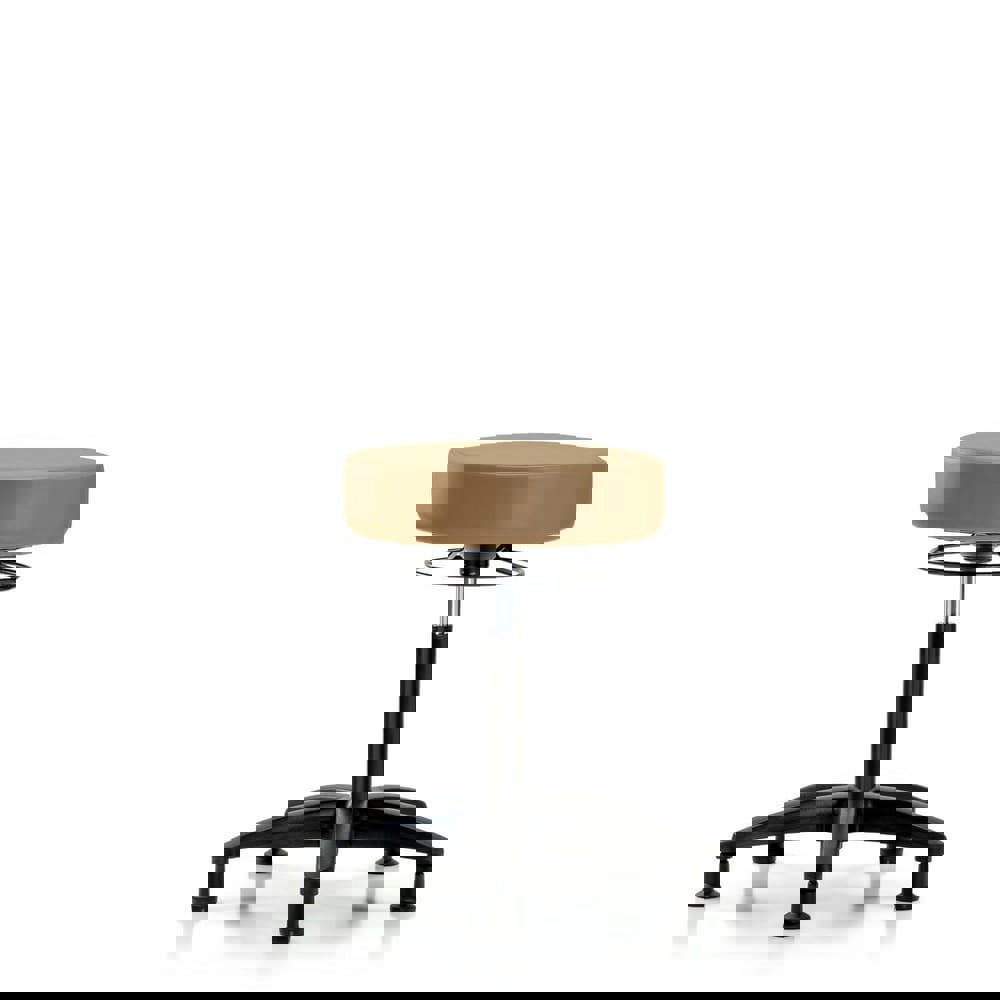 Lab Stool: Vinyl, 25