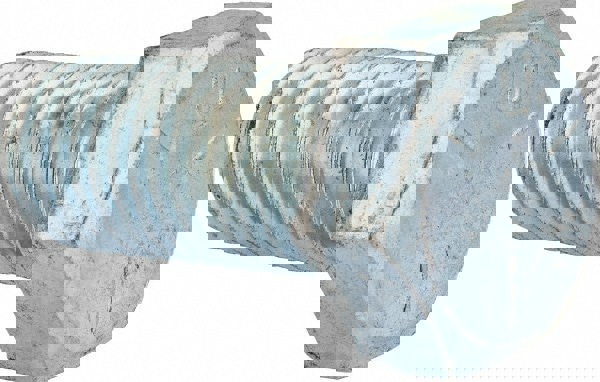 Hex Head Cap Screw: 1-1/8 - 7 x 2-1/2