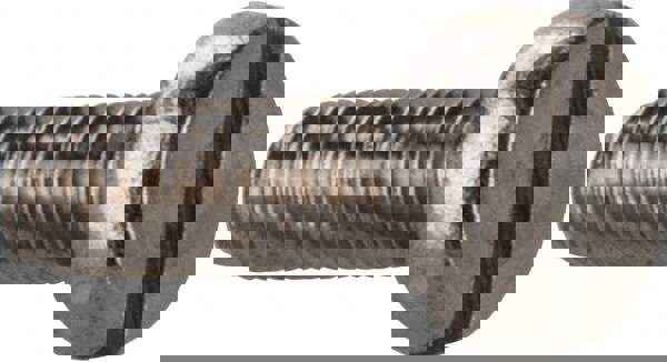 Machine Screw: Fillister Head, Slotted