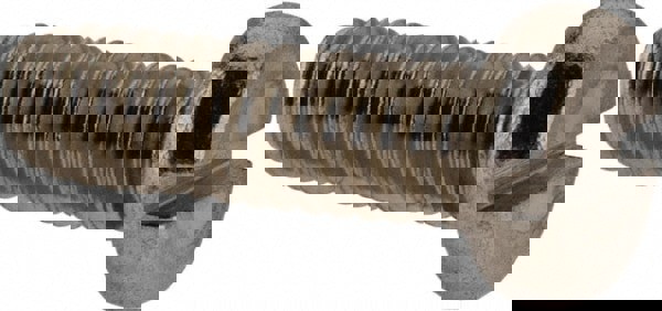 Machine Screw: Fillister Head, Slotted