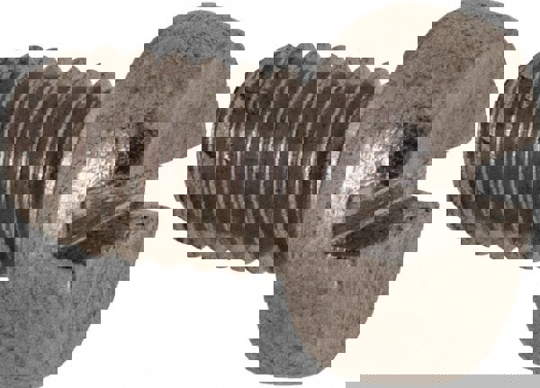 Machine Screw: Fillister Head, Slotted