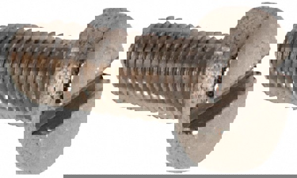 Machine Screw: Fillister Head, Slotted