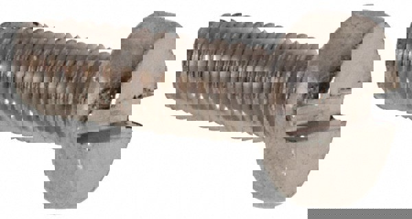 Machine Screw: Fillister Head, Slotted