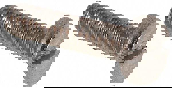 Machine Screw: Fillister Head, Slotted