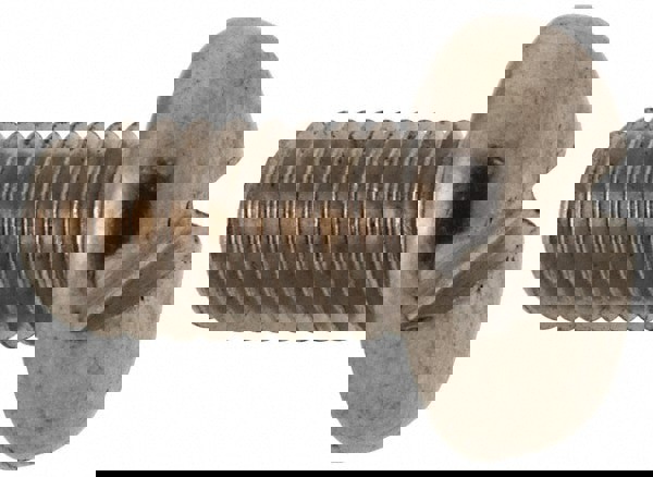 Machine Screw: Fillister Head, Slotted