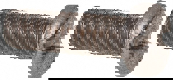 Machine Screw: Fillister Head, Slotted