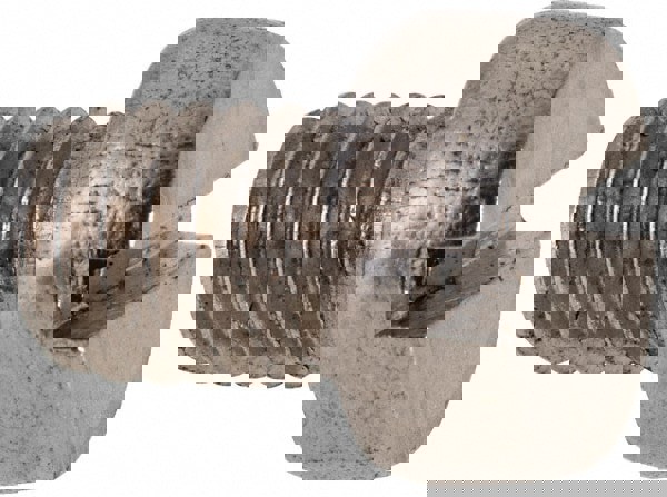 Machine Screw: Fillister Head, Slotted