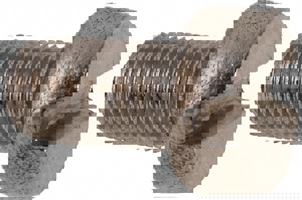Machine Screw: Fillister Head, Slotted