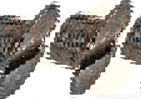 Machine Screw: M1.6x0.35 x 4.00 mm OAL, Flat Head, Slotted