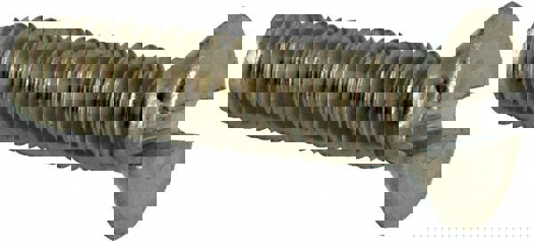 Machine Screw: Flat Head, Slotted