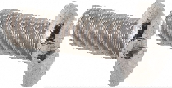 Machine Screw: M3x0.5 x 10.00 mm Length Under Head, Pan Head, Slotted