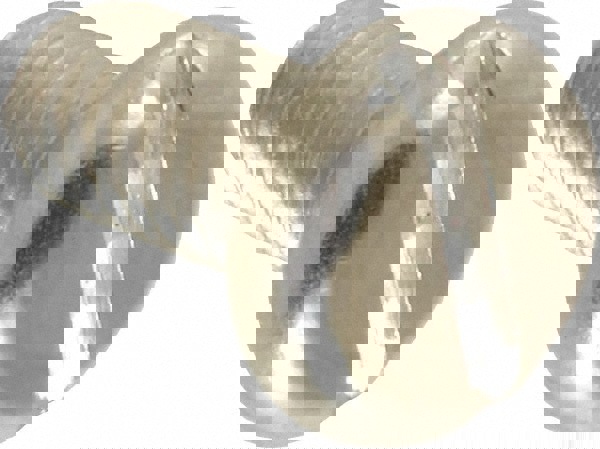 Machine Screw: Pan Head, Slotted