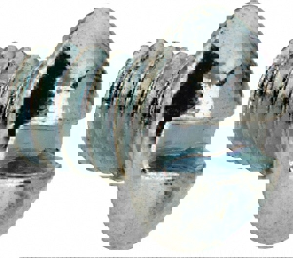 Machine Screw: #6-32 x 3/16