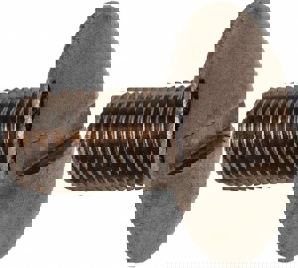 Machine Screw: Truss Head, Slotted