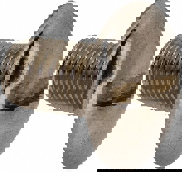 Machine Screw: Truss Head, Slotted