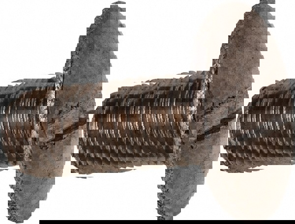 Machine Screw: Truss Head, Slotted