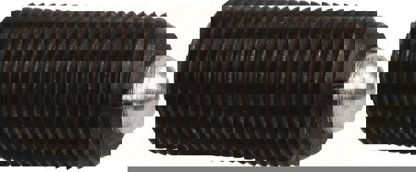 Threaded Spring Plunger: M12 x 1.75, 1.102