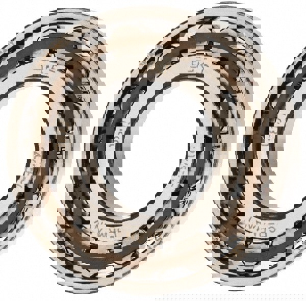 25mm Bore Diam, 52mm Outside Diam, 15mm Wide Cylindrical Roller Bearing