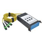 8.3/125 FIBER BREAKOUT CASSETTE 40GB -10