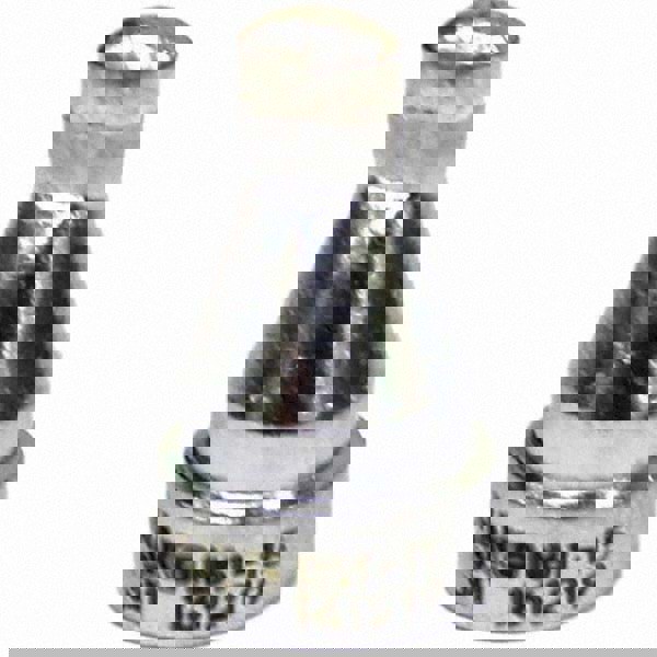 Desoldering Pump Tips