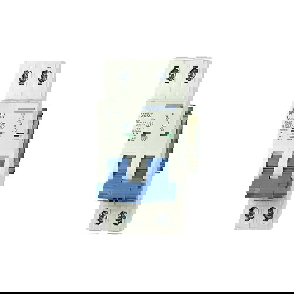 Circuit Breakers; Circuit Breaker Type: C60SP - Supplementary Protection ; Tripping Mechanism: Thermal-Magnetic ; Terminal Connection Type: Screw