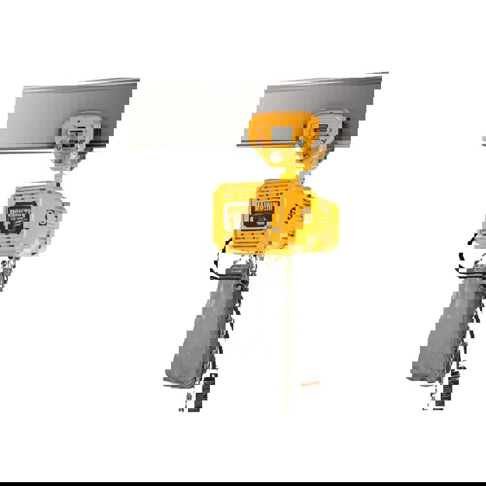 Electric Chain Hoist: 0.5 Ton Working Load Limit