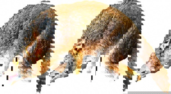 Plastic Bird Control Netting