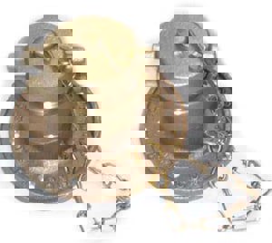 1-1/2 in. Single Inlet Brass FDC Assembly