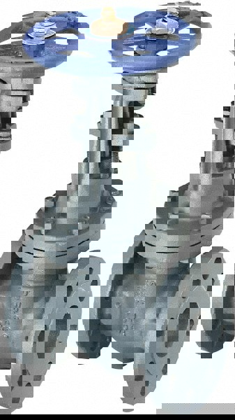 Gate Valve: OS & Y, 5