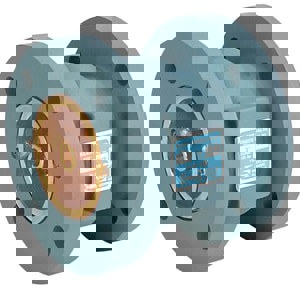 LF 3 CI 125# FLG BRZ SLNT CHK VLV