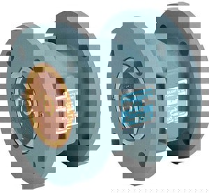 LF 4 CI 125# FLG BRZ SLNT CHK VLV