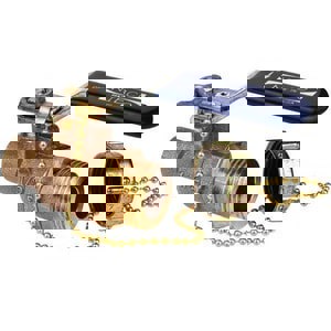 NP 1/2 BRZ SS 600# SWT FP BV CC