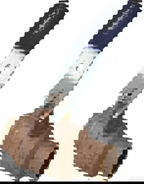 NP 3/4 BRZ SS 600# SWT FP BV