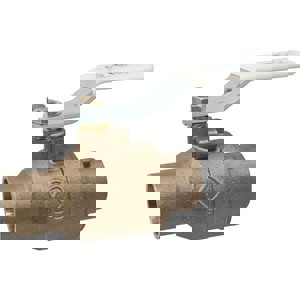 LF 1-1/4 BRZ SS 600# SWT FP BV