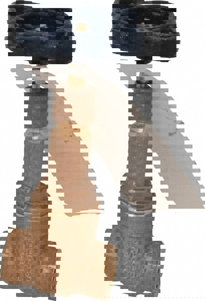 Gate Valve: Rising Stem, 1/4