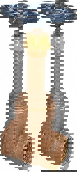 Gate Valve: Rising Stem, 1