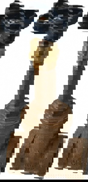 Gate Valve: Rising Stem, Threaded, Bronze