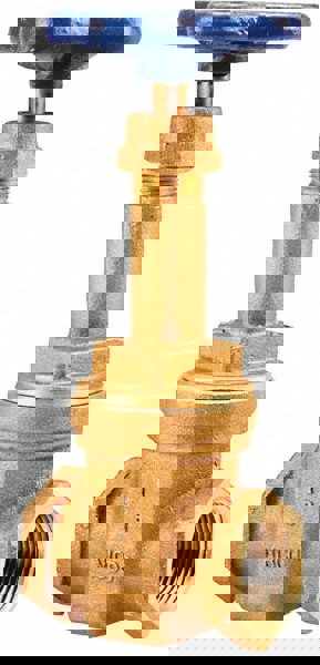 Gate Valve: Rising Stem, 2-1/2