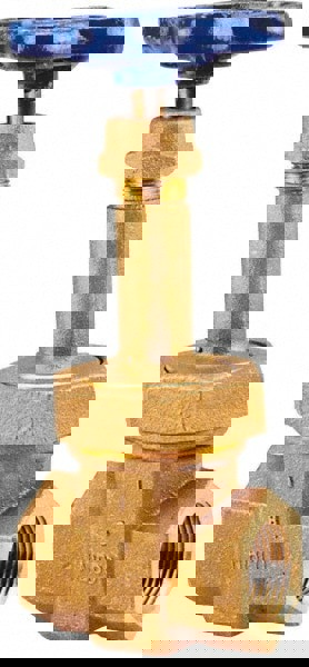 Gate Valve: Rising Stem, 1/4