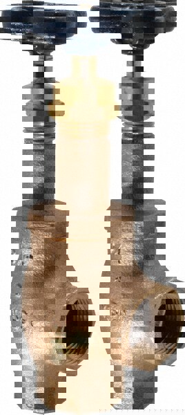 Gate Valve: Angle, 3/4