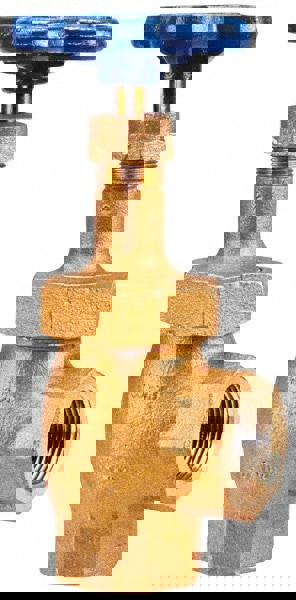 Gate Valve: Angle, 1