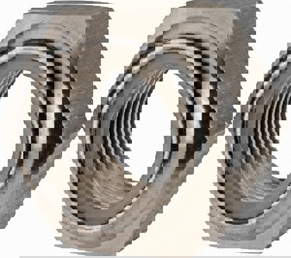 Hex Lock Nut: Nylon Insert, Nylon Insert, Grade 316 & A4 Stainless Steel, Uncoated