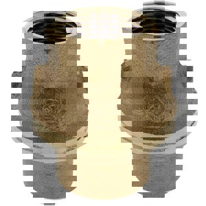 LF 1/2 BRZ 250# THRD VERT PTFE CHK