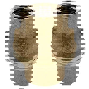 LF 1-1/4 BRZ 250# VERT PTFE CHK