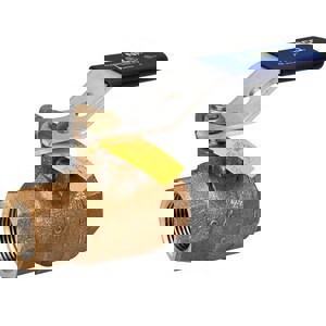 *NP 1-1/4 BRZ 600# THRD SP BV UL