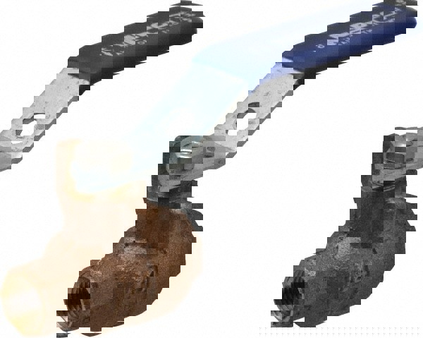 NP 1/4 BRZ SS 600# THRD FP BV